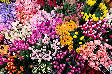 故事游戏《悟道》Steam页面上线 年内正式上线