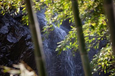 《地狱之刃2》和《宣誓》或将在下月Xbox展会上亮相